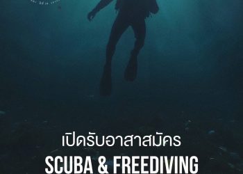 “O.K. NO TRASH 2025” ปีที่ 24 ชวนอาสาสมัครดำน้ำ-เก็บขยะชายหาด ณ หาดตาแหวน เกาะล้าน
