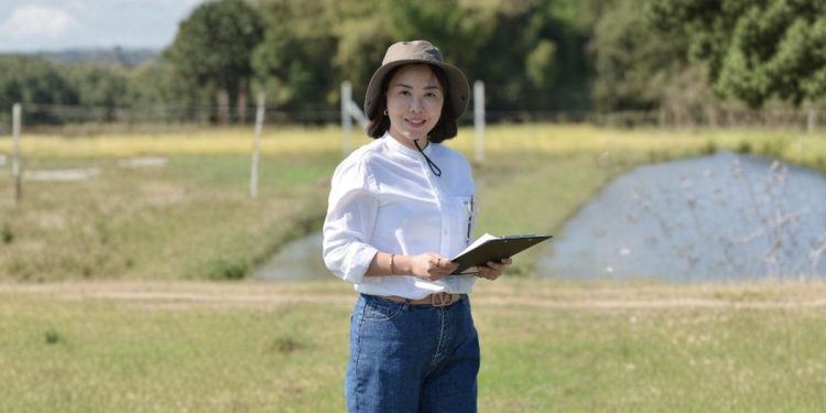 ซินเจนทา ยกระดับข้าวโพดเลี้ยงสัตว์ไทย ด้วยนวัตกรรมระดับโลก “เทคโนโลยีชีวภาพ (Biological)”