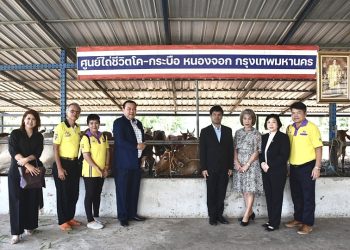 “ทำบุญ 1 ได้ถึง 2 ชีวิต” 2 สมาคมสื่อ เชิญคณะกรรมการ ที่ปรึกษา และสมาชิก ร่วมทำบุญไถ่ชีวิตโคท้องแก่ มอบแก่สมาคมประชาคมคนตาบอดไทย