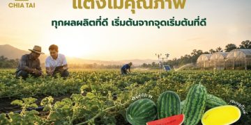 เจียไต๋ชูแนวคิด “ทุกผลผลิตที่ดี เริ่มต้นจากจุดเริ่มต้นที่ดี“ ต่อยอดความเชี่ยวชาญด้านเมล็ดพันธุ์แตงโม เพื่อผลผลิตที่มีคุณภาพของเกษตรกร
