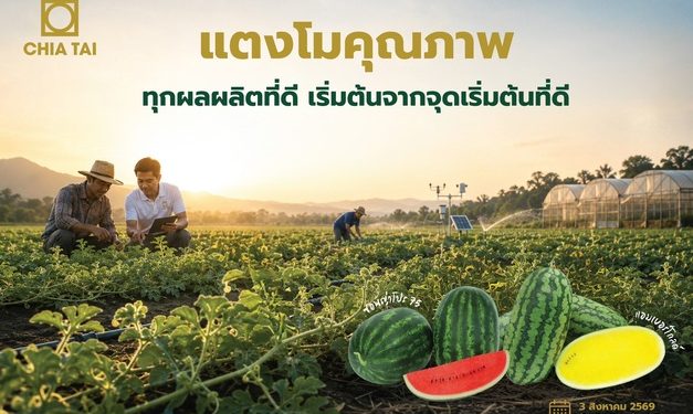 เจียไต๋ชูแนวคิด “ทุกผลผลิตที่ดี เริ่มต้นจากจุดเริ่มต้นที่ดี“ ต่อยอดความเชี่ยวชาญด้านเมล็ดพันธุ์แตงโม เพื่อผลผลิตที่มีคุณภาพของเกษตรกร