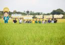 เจียไต๋ จัด Field Day เปิดแปลงโชว์ “โซลูชันนาข้าว“ สุพรรณบุรี ชูผลผลิตดีท่ามกลางสภาพอากาศแปรปรวน